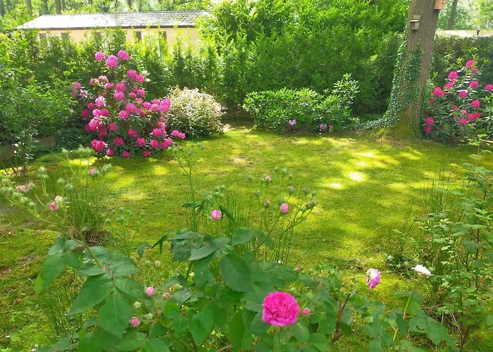 Vakantie veluwe