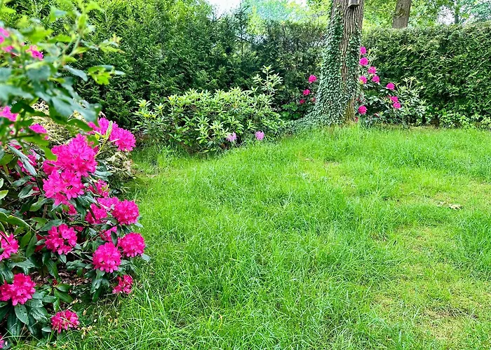 Vakantie veluwe