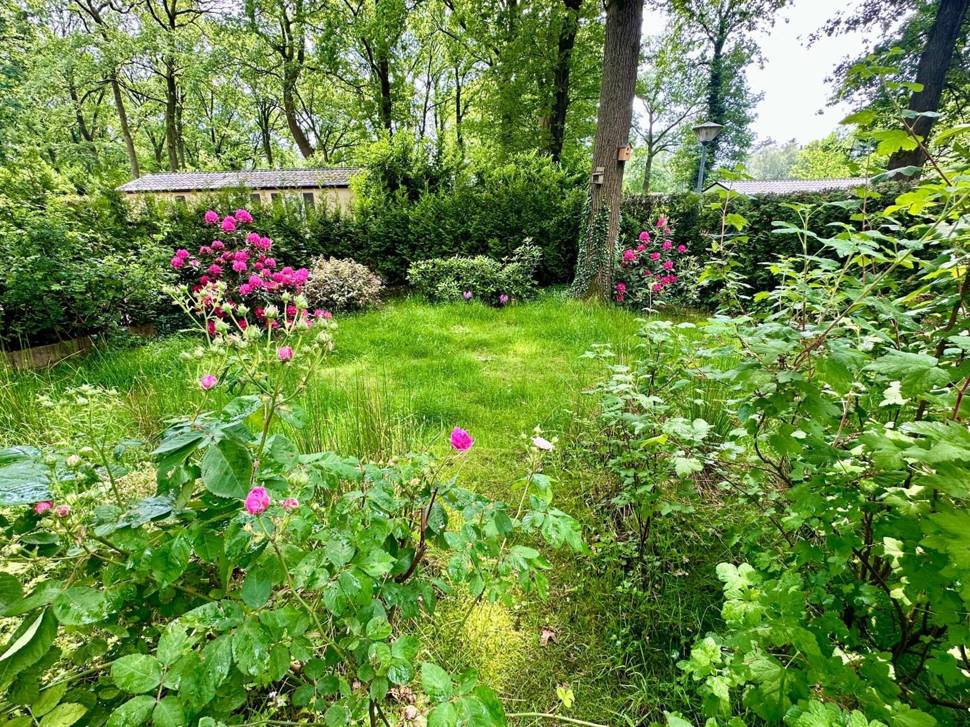 Chalet Veluwe Wageningen