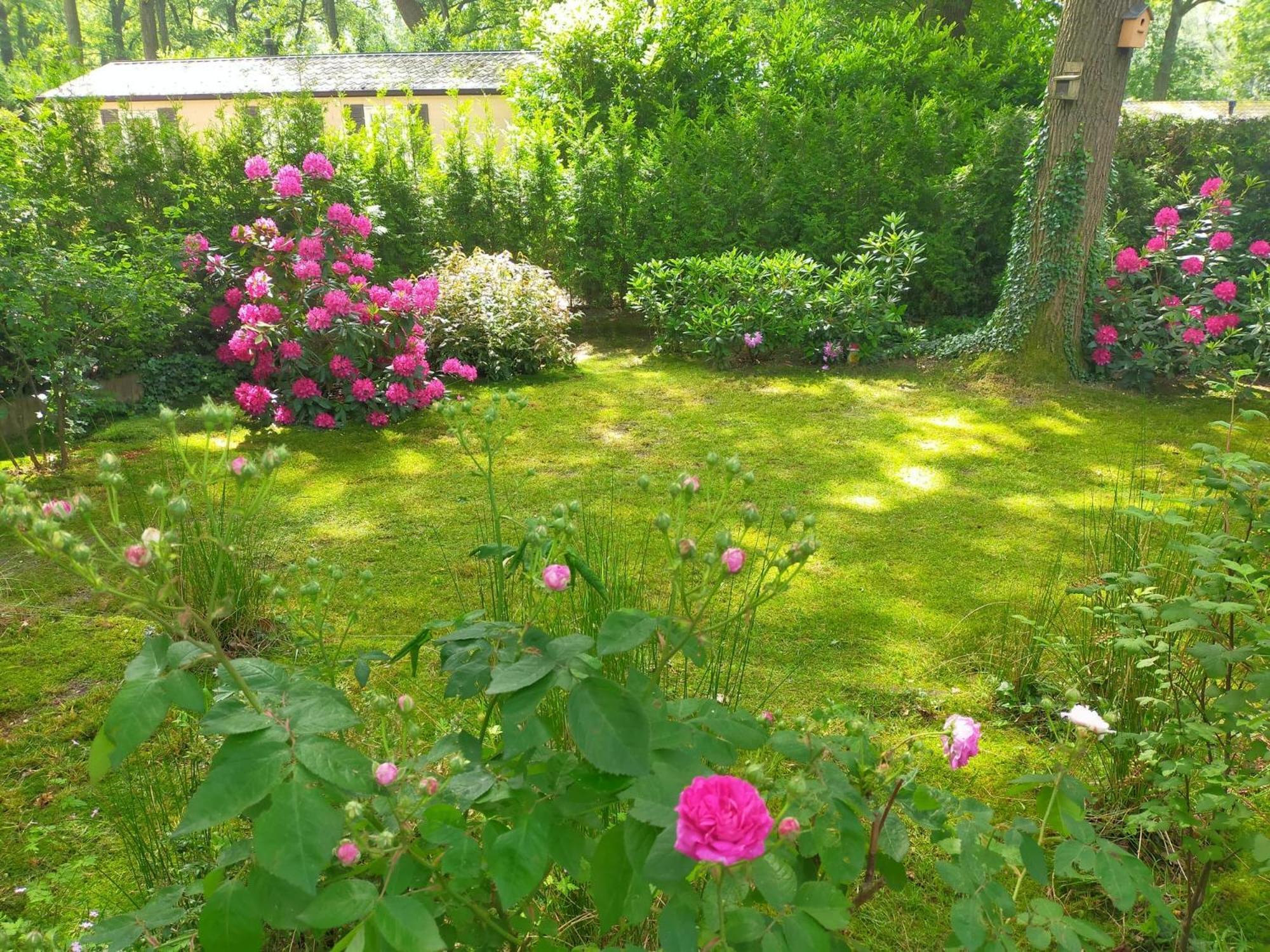 Chalet Veluwe *